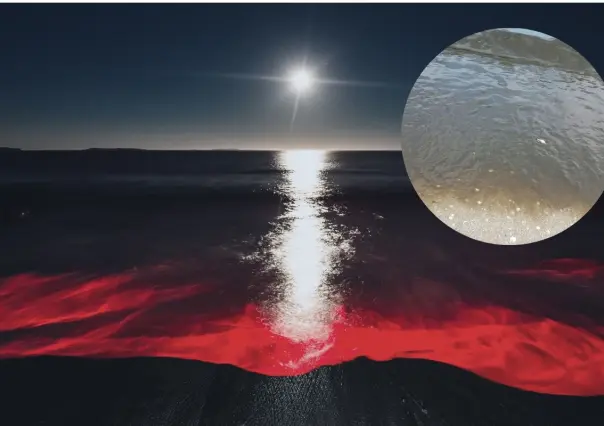 Marea roja en Yucatán: ¿Por qué se puso el mar negro en Chuburná?
