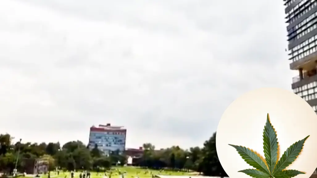 Detienen a dos jóvenes por presunta venta de marihuana en la Facultad de Ingeniería de la UNAM