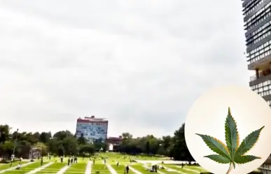 Detienen a dos jóvenes por presunta venta de marihuana en la Facultad de Ingeniería de la UNAM
