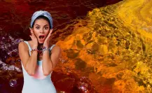 ¿La marea roja en Yucatán representa un riesgo real para las personas?