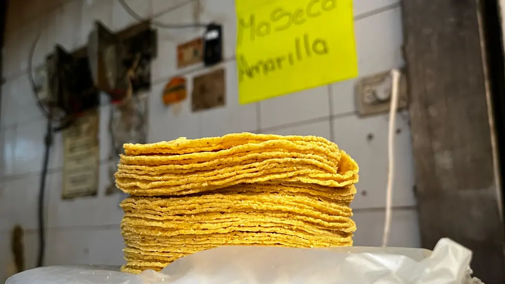 ¿Subirá el precio de la masa y la tortilla en Yucatán? Esto es lo que se sabe