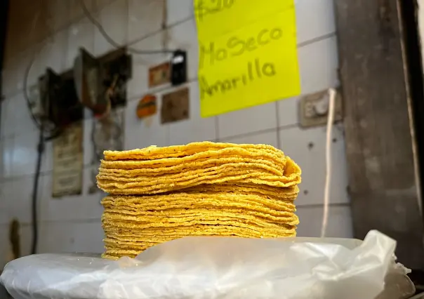 ¿Subirá el precio de la masa y la tortilla en Yucatán? Esto es lo que se sabe