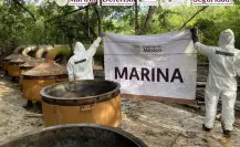 Desmantelan laboratorio de clandestino y aseguran más de 12 toneladas de droga en Nayarit