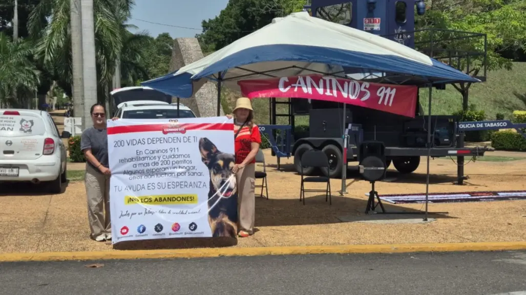 Mil 200 perritos ha rescatado por "Caninos 911" en Tabasco, pero ahora necesitan ayuda