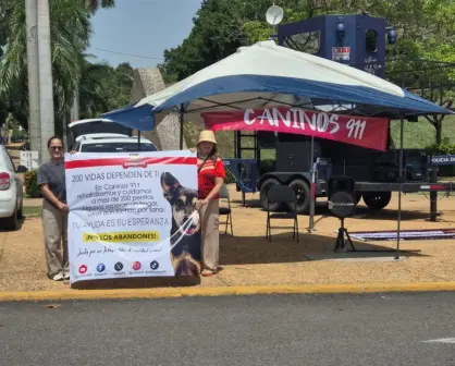 Mil 200 perritos ha rescatado por "Caninos 911" en Tabasco, pero ahora necesitan ayuda