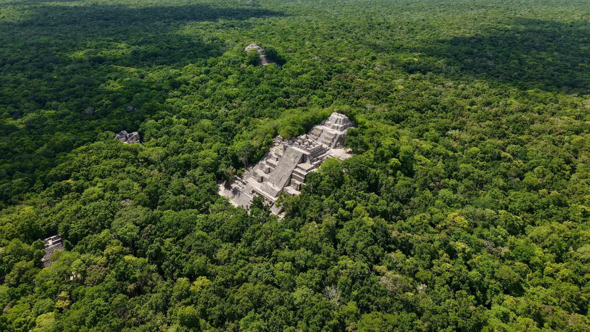 Entre las áreas protegidas está la Reserva de la Biosfera Calakmul en Campeche Foto: Claudia Sheinbaum