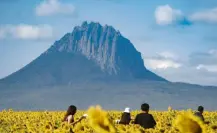 Por estas razones vale la pena visitar González, Tamaulipas