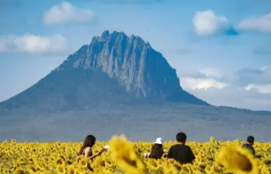 Por estas razones vale la pena visitar González, Tamaulipas