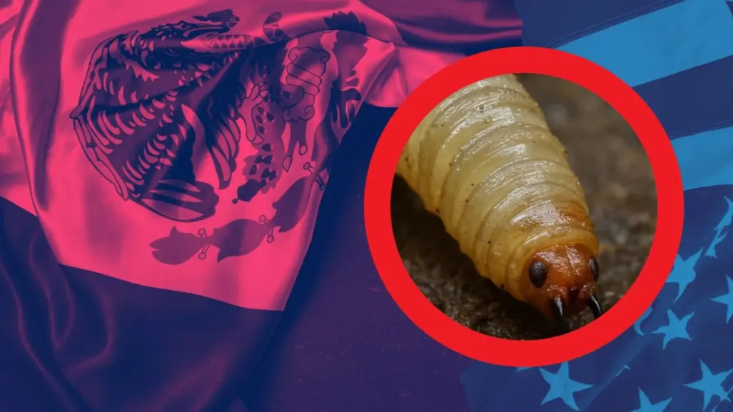 México y EU alcanzan acuerdo para combatir el gusano barrenador