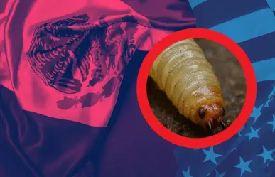 México y EU alcanzan acuerdo para combatir el gusano barrenador