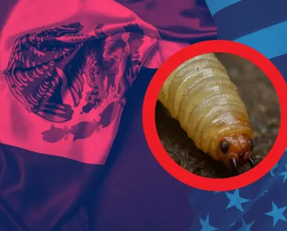 México y EU alcanzan acuerdo para combatir el gusano barrenador