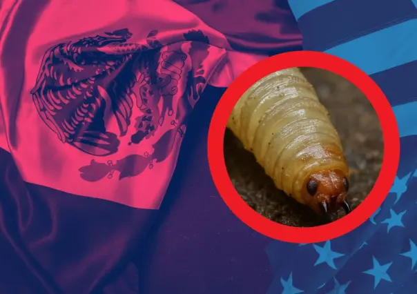México y EU alcanzan acuerdo para combatir el gusano barrenador