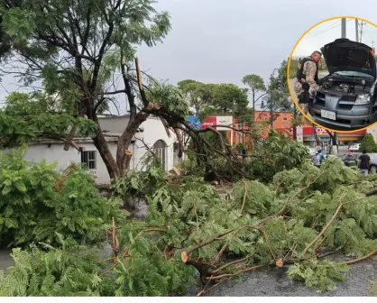 Lluvias en Saltillo y Ramos Arizpe causan cierre de vialidades y reacción de autoridades