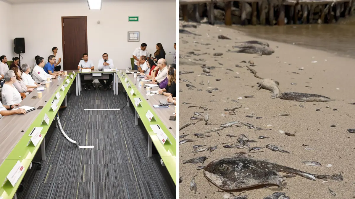 La Secretaría de Salud confirmó que no hay cambios en los niveles de marea roja en Yucatán Foto: Gobierno de Yucatán/Michelle Espadas