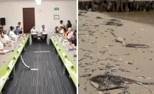 Marea roja en Yucatán: se mantiene el monitoreo del fenómeno en la costa