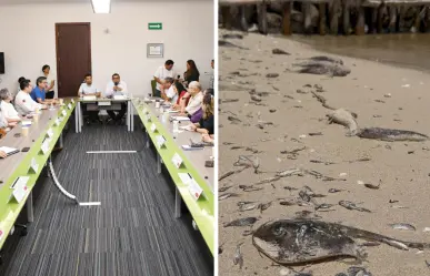Marea roja en Yucatán: se mantiene el monitoreo del fenómeno en la costa