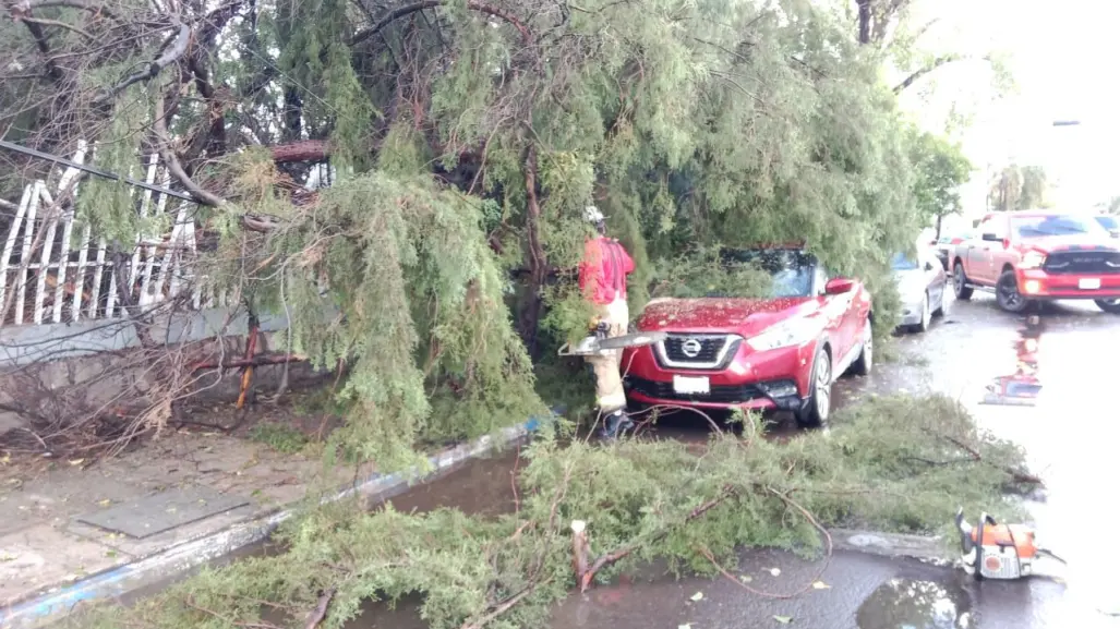 Varios daños en el centro de Durango por intensa lluvia este 15 de agosto
