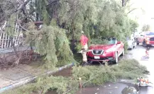 Varios daños en el centro de Durango por intensa lluvia este 15 de agosto