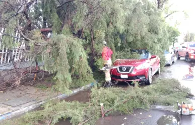 Varios daños en el centro de Durango por intensa lluvia este 15 de agosto
