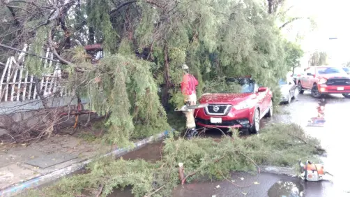 Varios daños en el centro de Durango por intensa lluvia este 15 de agosto