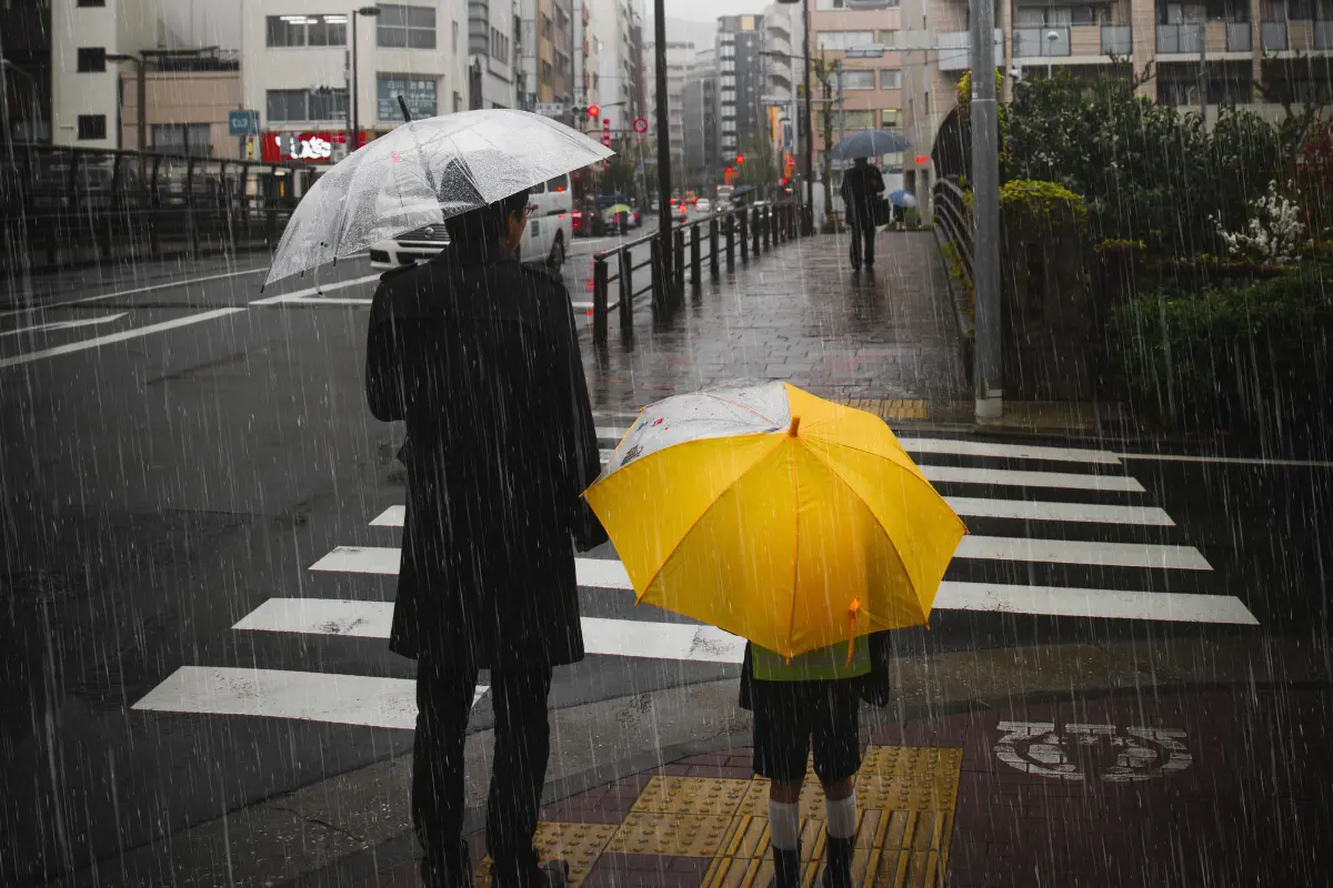 Personas usando paraguas durante la lluvia. Foto: Freepik