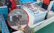 Marina detiene a 2 hombres por pesca ilegal de pulpo y calamar en Yucatán