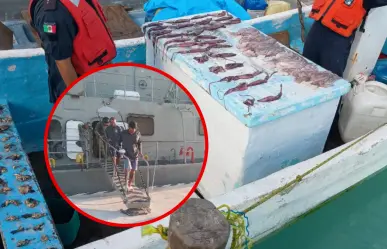 Marina detiene a 2 hombres por pesca ilegal de pulpo y calamar en Yucatán