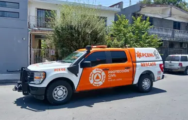 Rescatan a bebés marsupiales en Monterrey