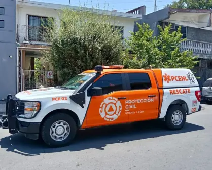 Rescatan a bebés marsupiales en Monterrey