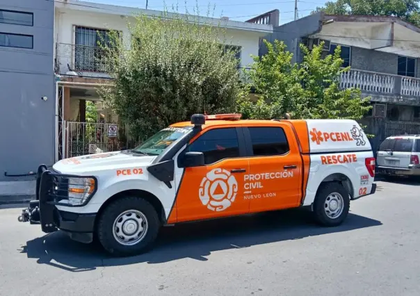 Rescatan a bebés marsupiales en Monterrey