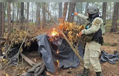 Sedena asegura narcocampamento, granadas y equipo antidrones en Sinaloa