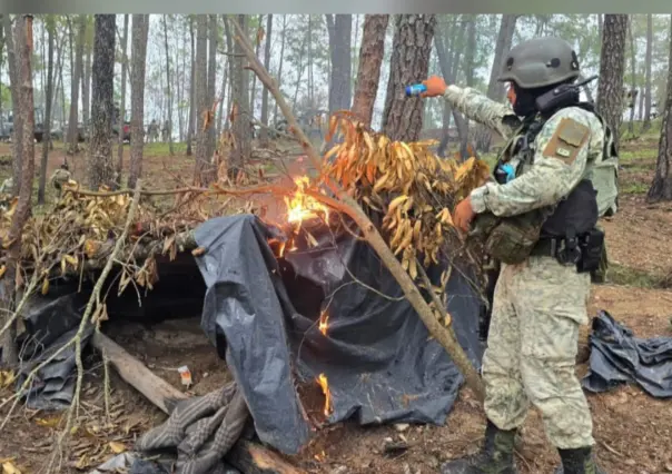 Sedena asegura narcocampamento, granadas y equipo antidrones en Sinaloa