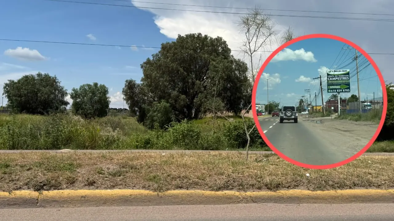 Foto: Jesús Carrillo | No hay intermediarios en compras de terrenos del INMUVI.