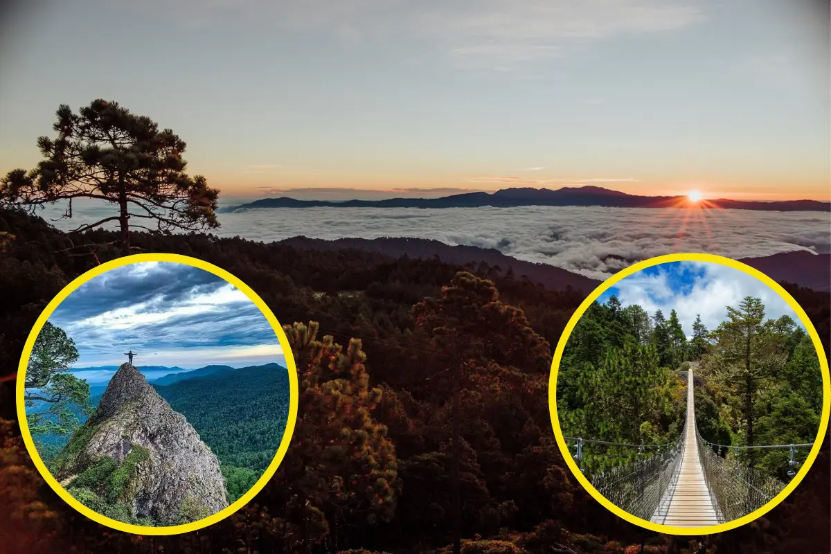 En Oaxaca esta comunidad viven en medio del bosque, parece un paisaje sacado de un cuento. Foto: Visit México