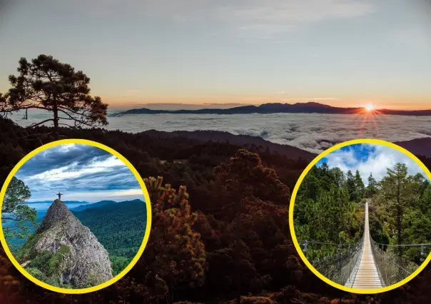 Oaxaca: Esta comunidad viven en medio del bosque, parece un paisaje sacado de un cuento