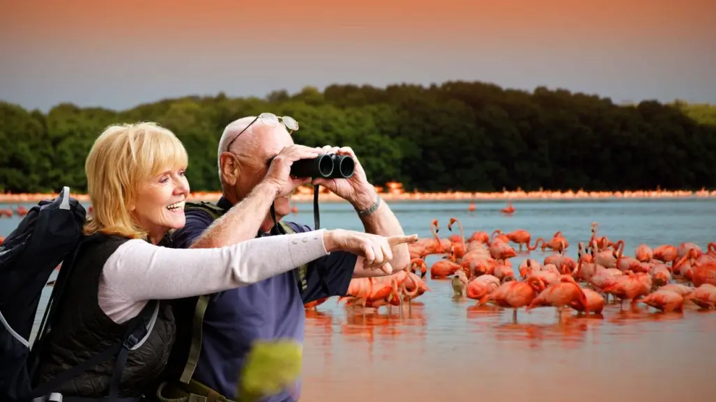 Dónde ver los flamencos en la península de Yucatán