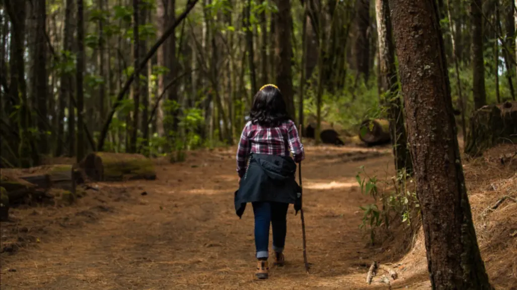 Ruta de senderismo dentro del Edomex que te llevara a recorrer caminos llenos de cultura ancestral