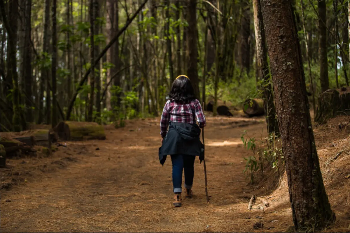 Persona realizando senderismo en el bosque. Foto: X (@EdomexTurismo)