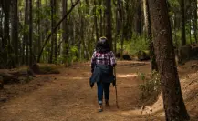 Ruta de senderismo dentro del Edomex que te llevara a recorrer caminos llenos de cultura ancestral