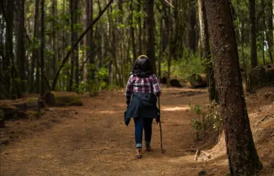 Ruta de senderismo dentro del Edomex que te llevara a recorrer caminos llenos de cultura ancestral