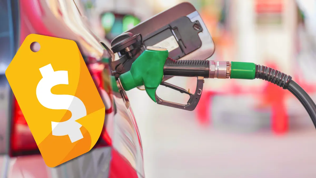 Saber el precio de la gasolina ayuda a calcular el presupuesto Foto: Canva/Alexis Lara