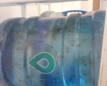 ¿Qué bebes en tu garrafón? 7 de cada 10 en CDMX tienen bacterias fecales y exceso de cloro