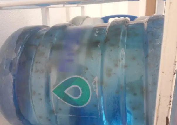 ¿Qué bebes en tu garrafón? 7 de cada 10 en CDMX tienen bacterias fecales y exceso de cloro