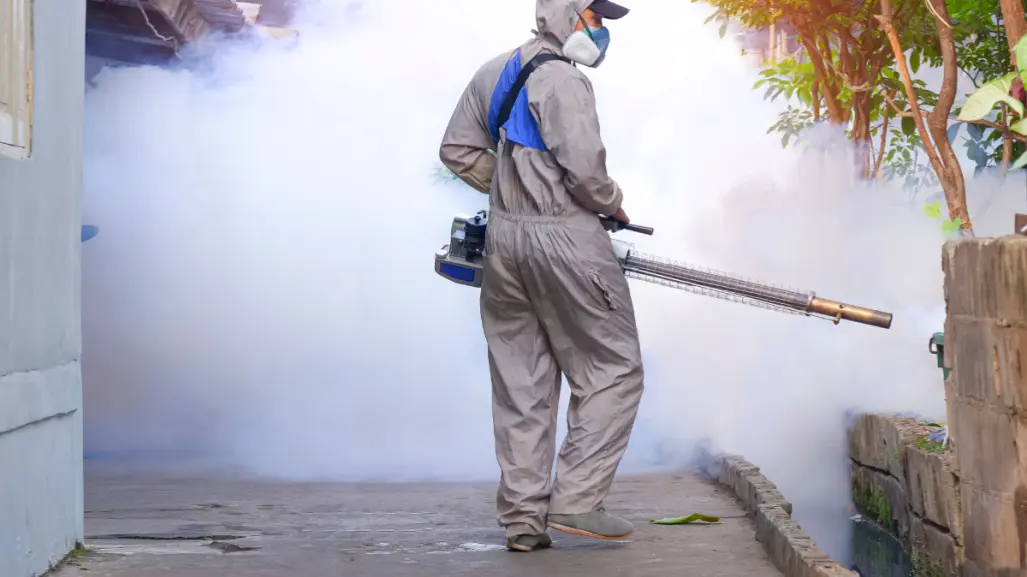 Tamaulipas es sexto a nivel nacional por casos de dengue, Matamoros es foco rojo