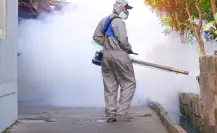 Tamaulipas es sexto a nivel nacional por casos de dengue, Matamoros es foco rojo