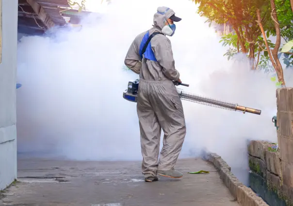 Tamaulipas es sexto a nivel nacional por casos de dengue, Matamoros es foco rojo