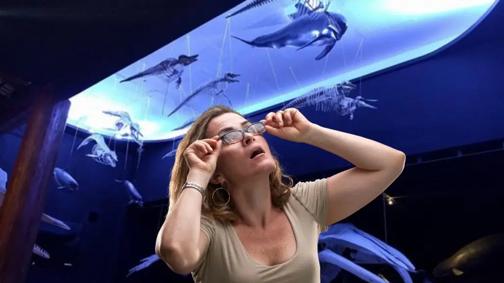 Museo de la Ballena en La Paz, el orgullo de BCS que es referente nacional