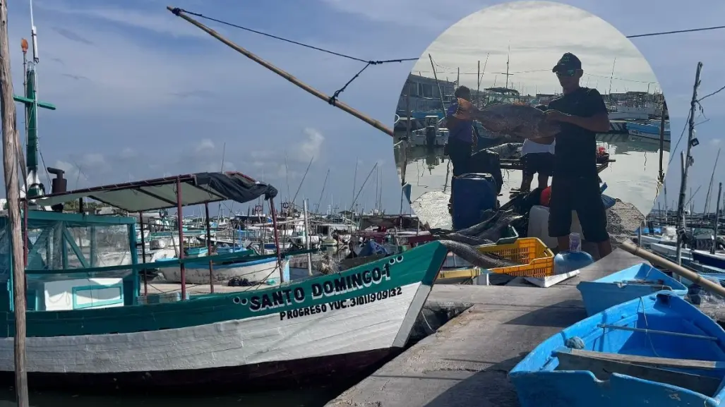 Marea roja en Yucatán: freno a la actividad pesquera en plena temporada de captura de pulpo