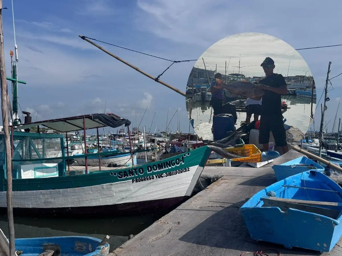 Representantes del sector pesquero señalaron las afectaciones que se han generado por la suspensión de actividades debido a la presencia de marea roja en la mayor parte del litoral yucateco.- Fuente archivo POSTA