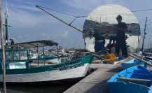 Marea roja en Yucatán: freno a la actividad pesquera en plena temporada de captura de pulpo